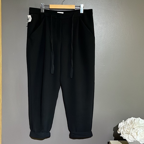 Aritzia Wilfred Allant Trouser Pants NWT - Picture 4 of 15